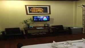 A hotel room with a bed, a television, a desk with a plant, and a framed picture on the wall. - Villa Champa (Luang Prabang)