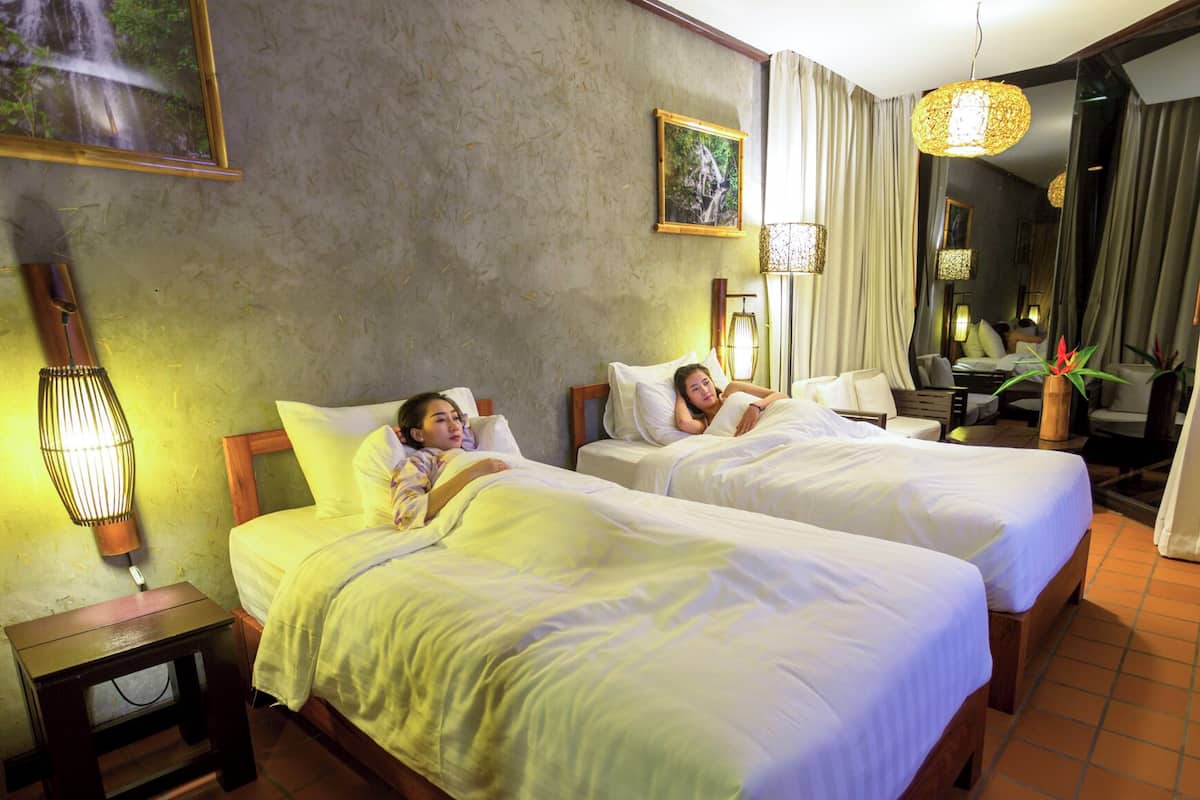 Deluxe Twin kamer | Een kluis op de kamer, verduisterende gordijnen, gratis wifi, beddengoed