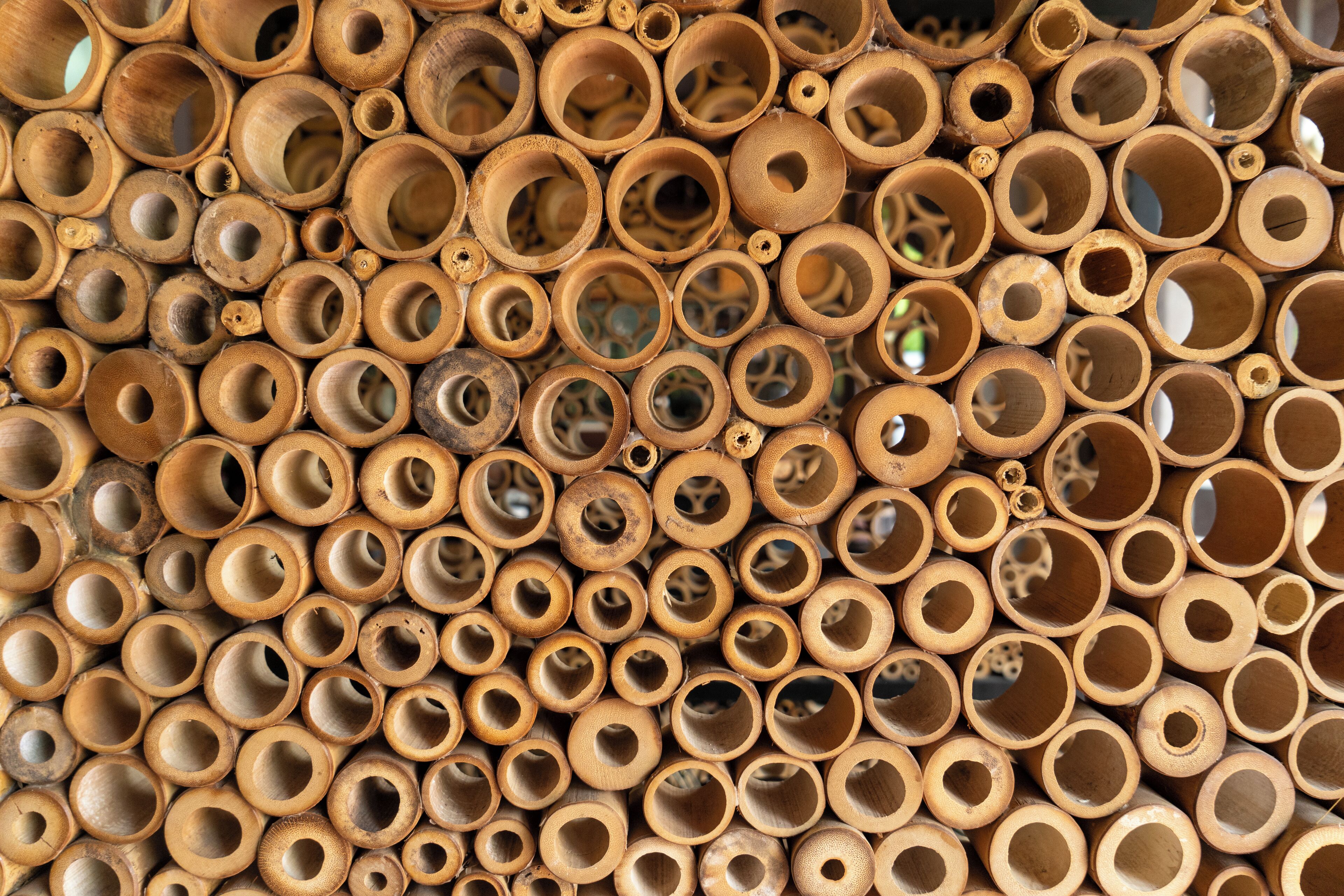 2 restaurants, breakfast, lunch, dinner served; international cuisine