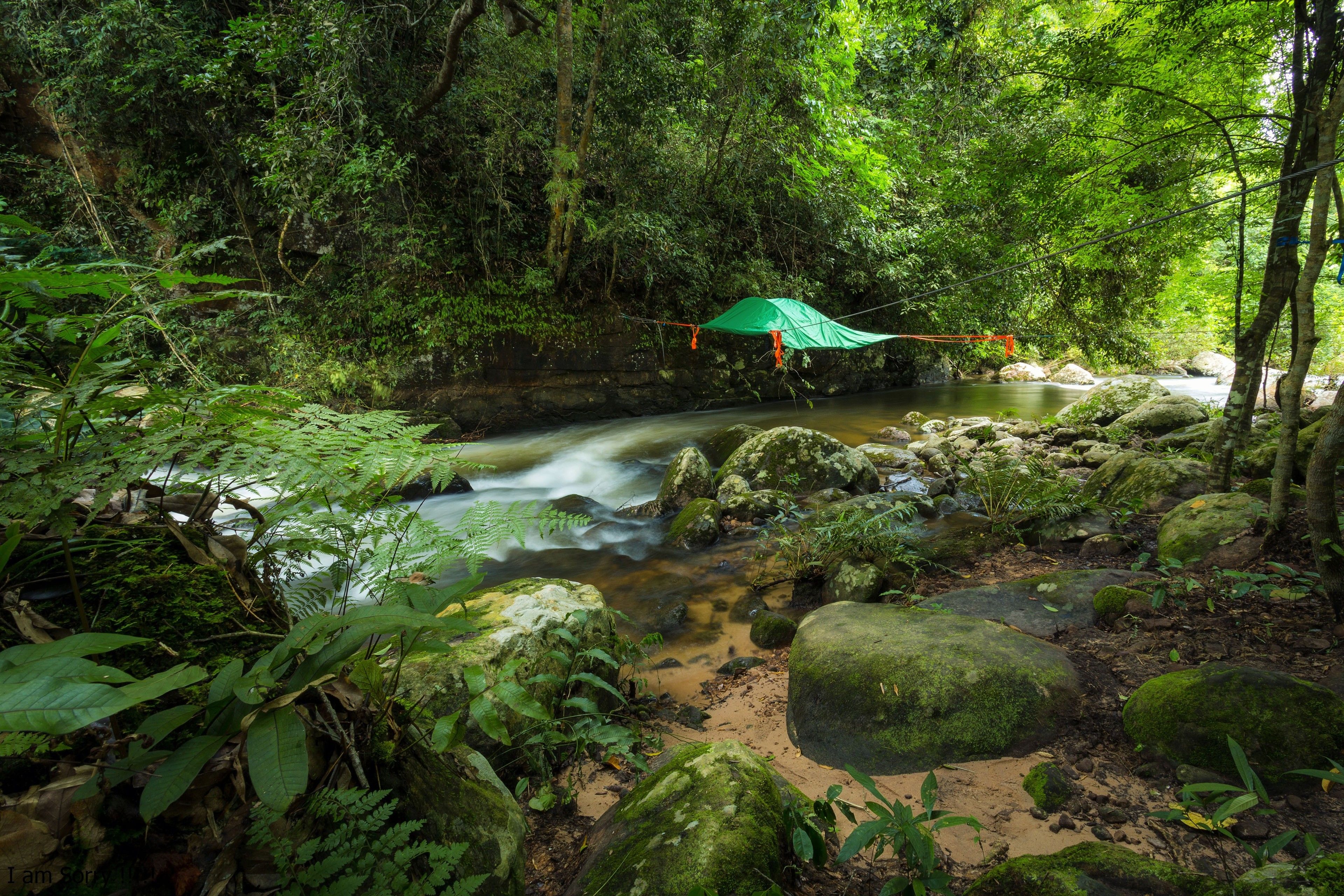 Tienda de campaña montada a orillas de un río en zona boscosa con rocas y helechos.