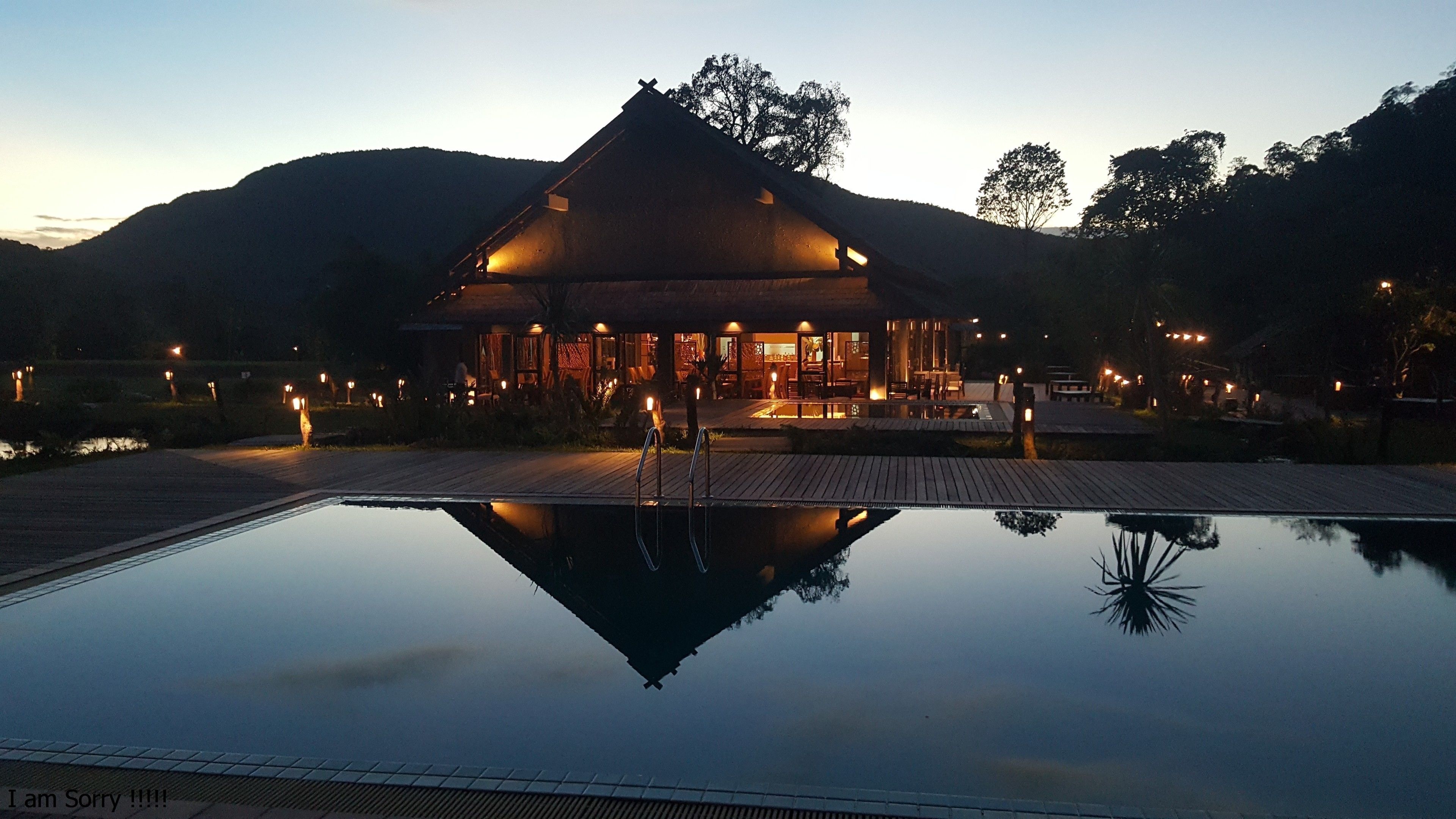 Outdoor pool, pool umbrellas, pool loungers