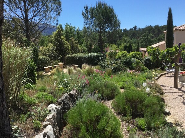 Un jardín con diversas plantas y un muro de piedra.