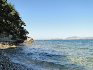 A coastal scene with clear water, rocky shore, and dense trees.