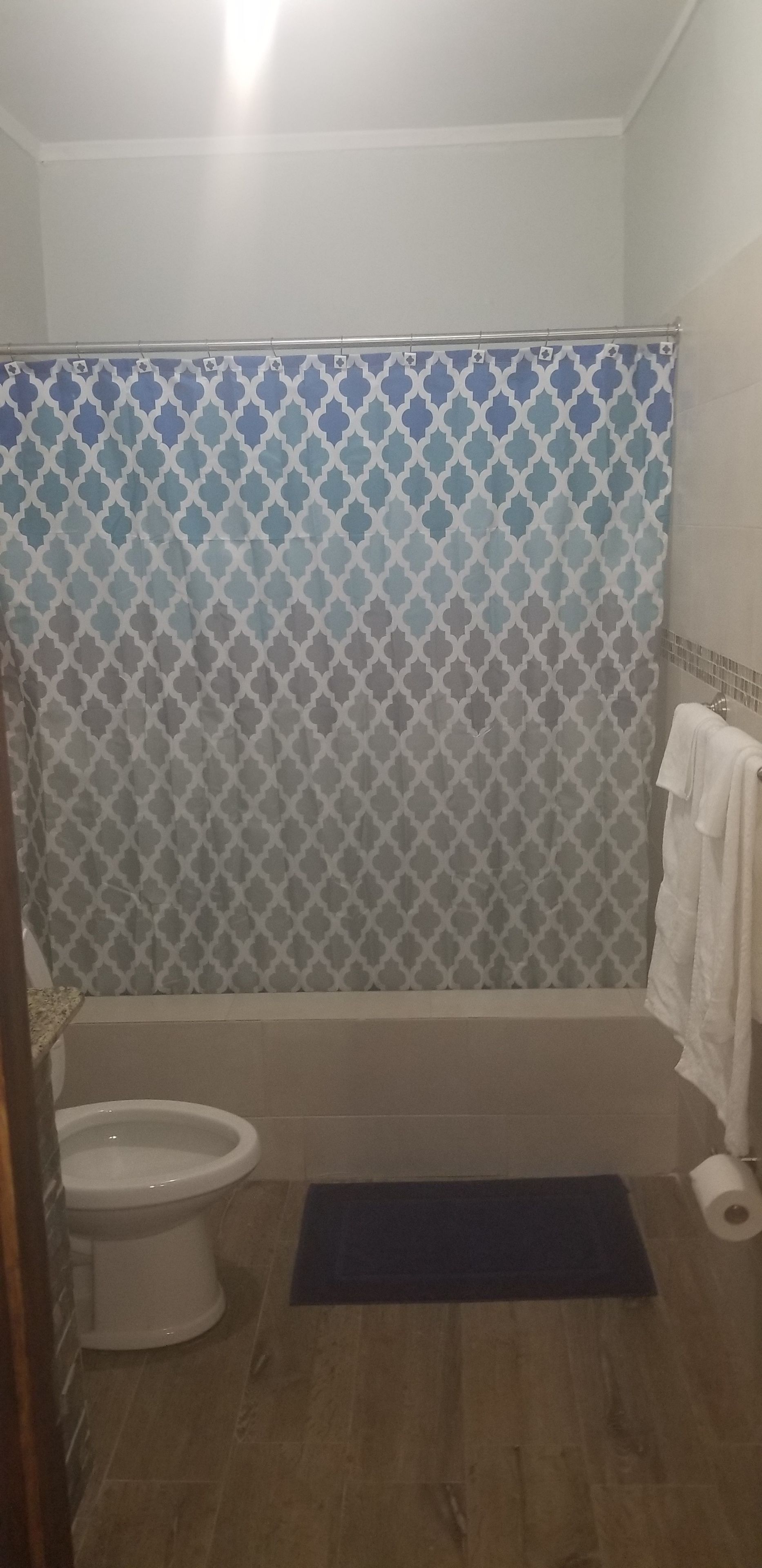 Ein Badezimmer mit Duschvorhang, Toilette, Badewanne und einer blauen Matte.