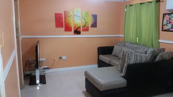 Televisión de pantalla plana, Netflix, películas con cargo