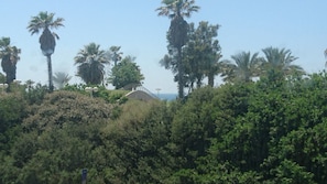 Departamento de lujo, 1 habitación, vista al mar | Vista desde la habitación