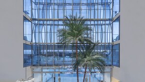 Un vestíbulo amplio con techo alto, grandes ventanales y una palmera en el centro.