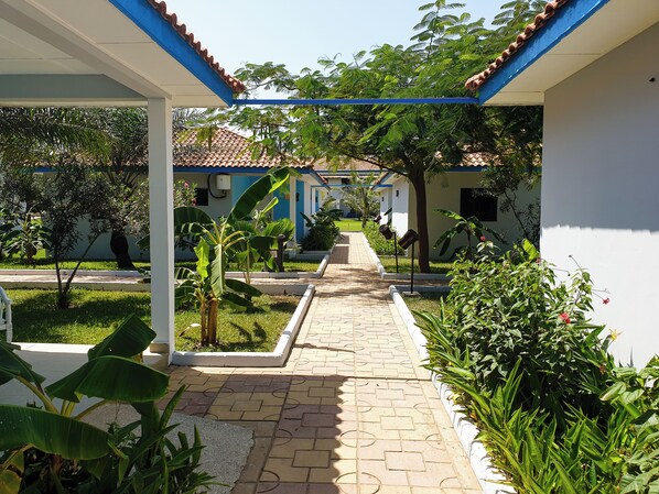 Garden view