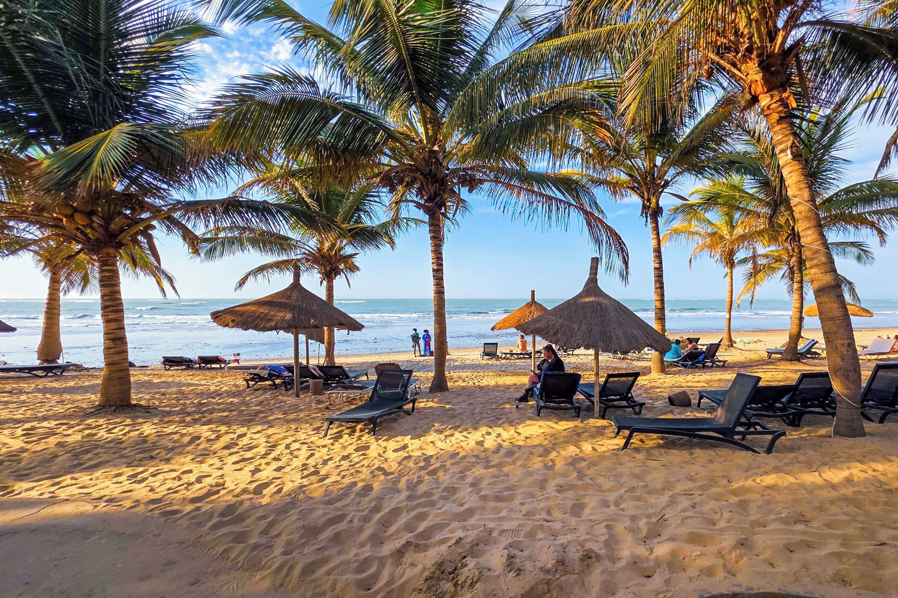 Une plage bordée de palmiers, avec des chaises longues et des parasols en feuilles de palmier.