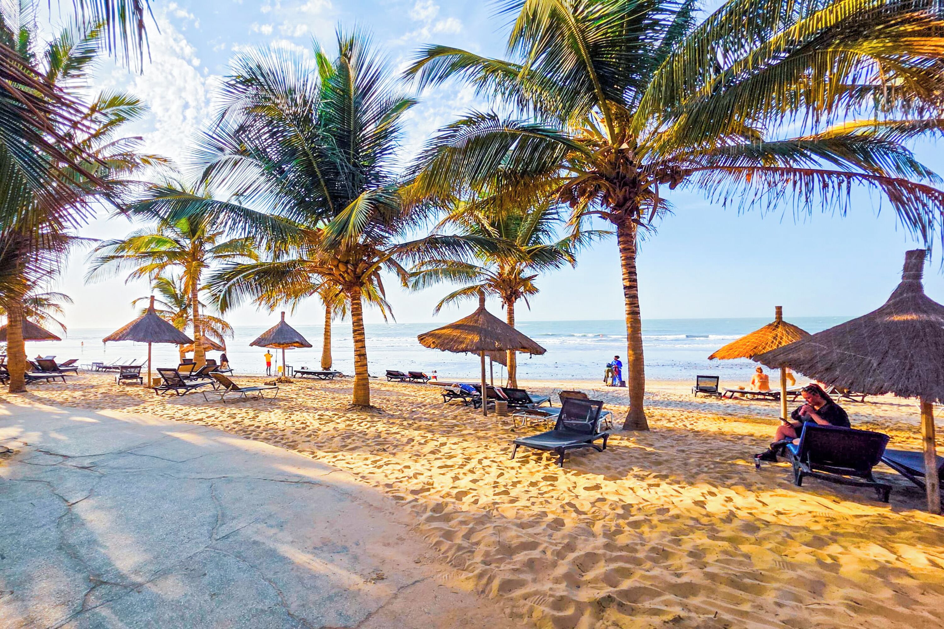 A beach with palm trees, sun loungers, and thatched umbrellas.