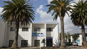 A building with a reception area, palm trees, and a clear sky. - Three Palms Lodge (Auckland)