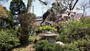 Um jardim rochoso com um tradicional lanterneiro japonês e flores de cerejeira em flor.