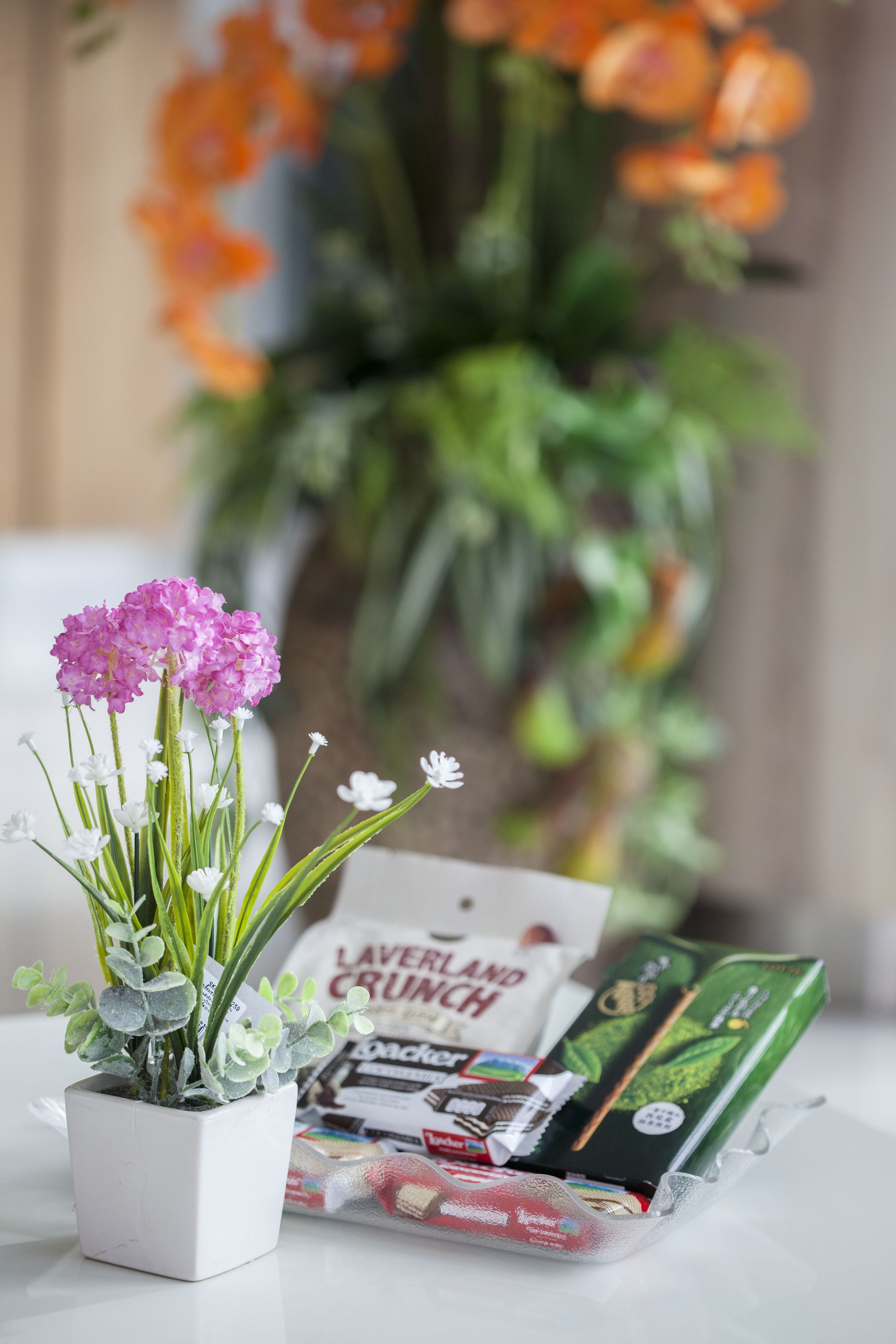 Foto - The Elysium Residence - SHA Extra Plus