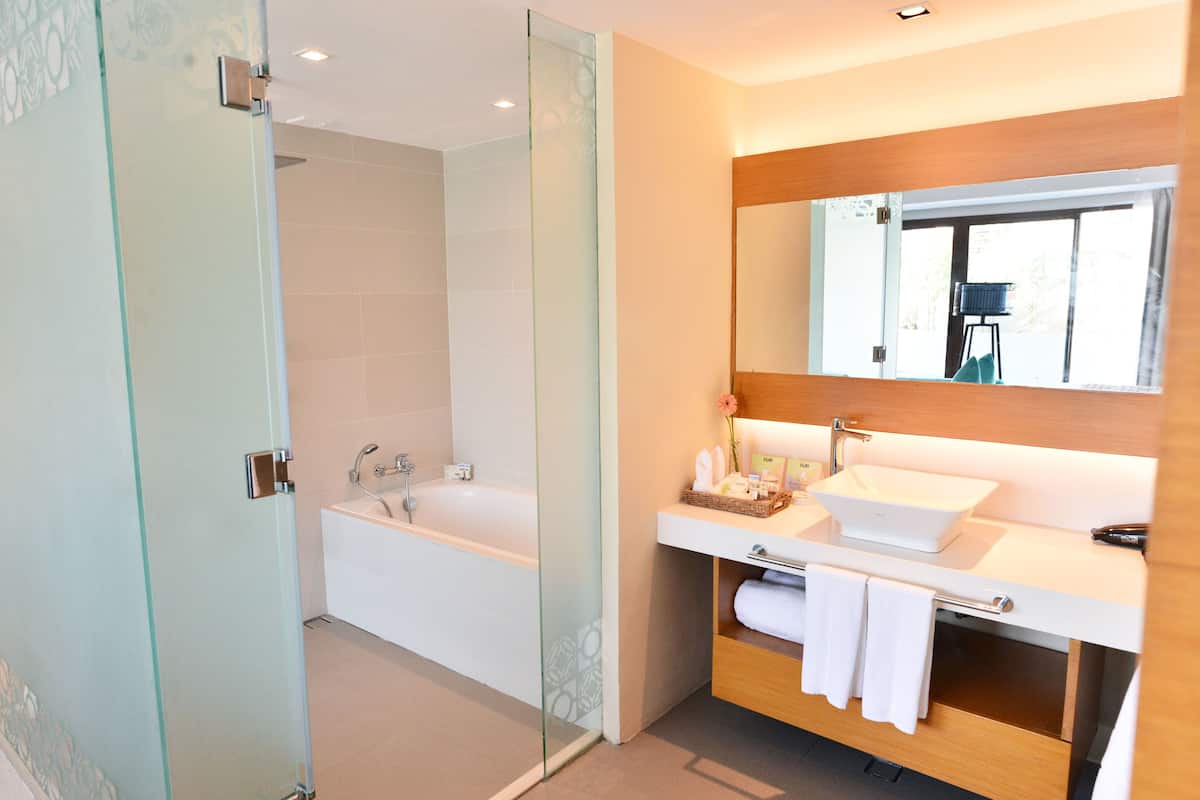 suite | bathroom | shower, free toiletries, hair dryer, bathrobes
