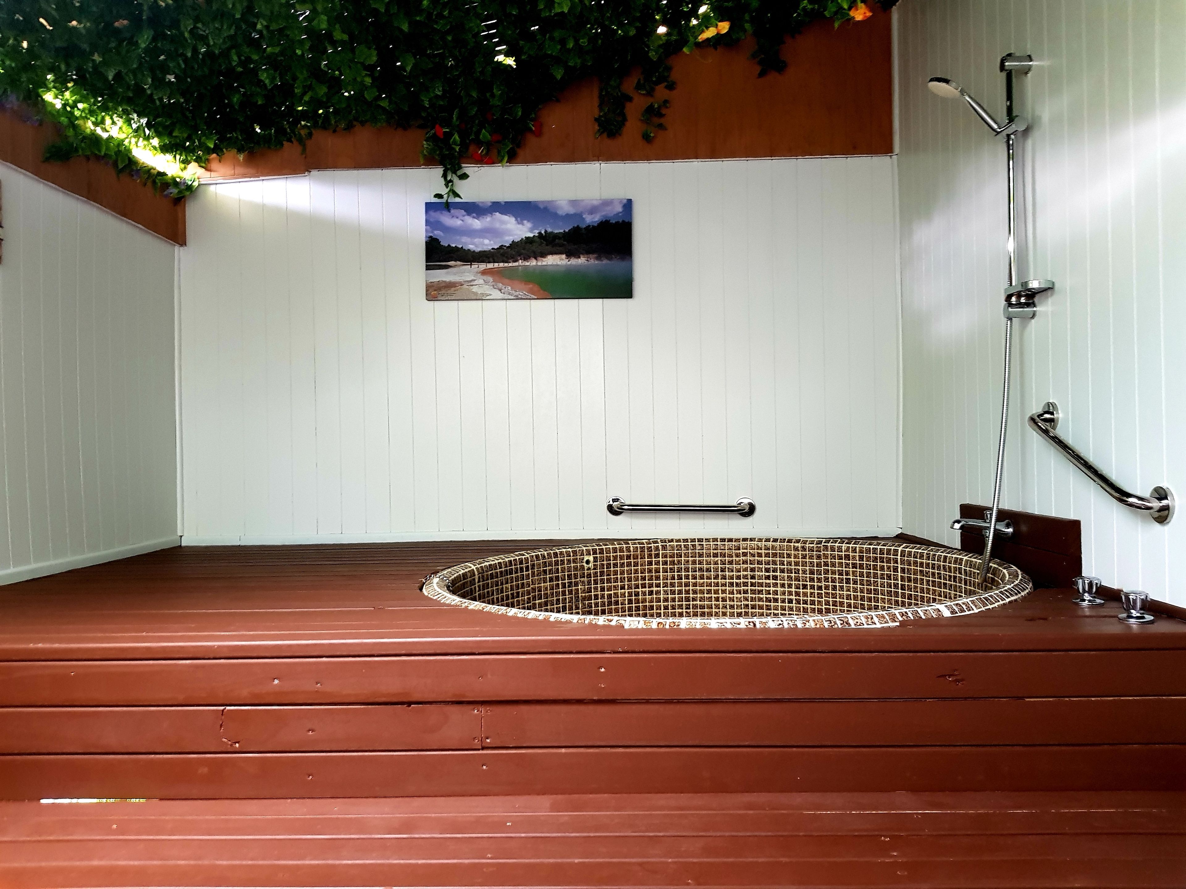 Une salle de spa avec un plancher en bois, une petite piscine, une barre d’appui et un tableau représentant une scène de plage au mur.