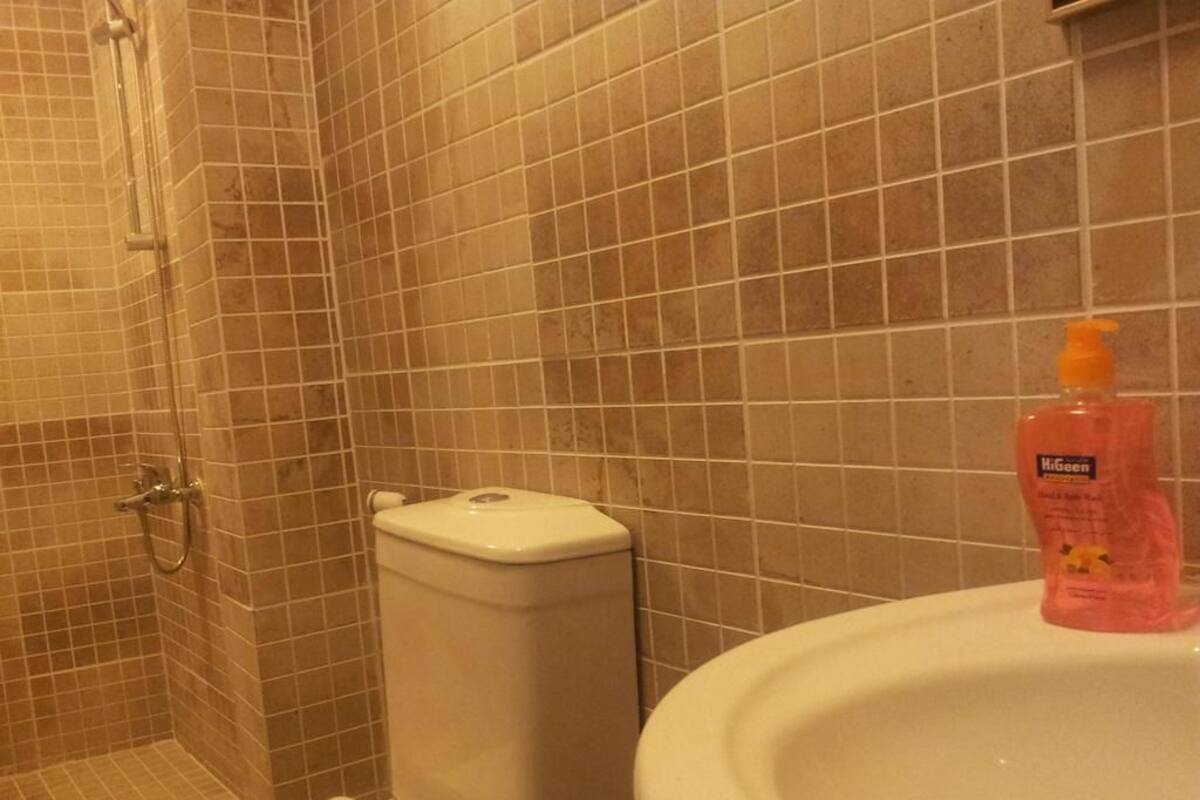 A bathroom with a toilet, a shower area, and a sink with a bottle of hand soap.
