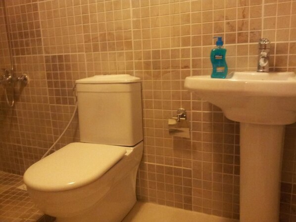 A bathroom with a toilet, a sink, and a shower.