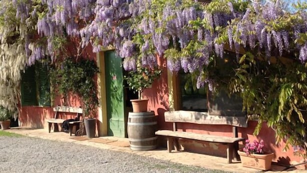 A covered outdoor seating area with a bench, a table, and potted plants. - Agriturismo Cascina degli Ulivi (Novi Ligure)