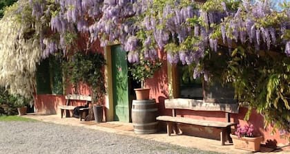 Agriturismo Cascina degli Ulivi