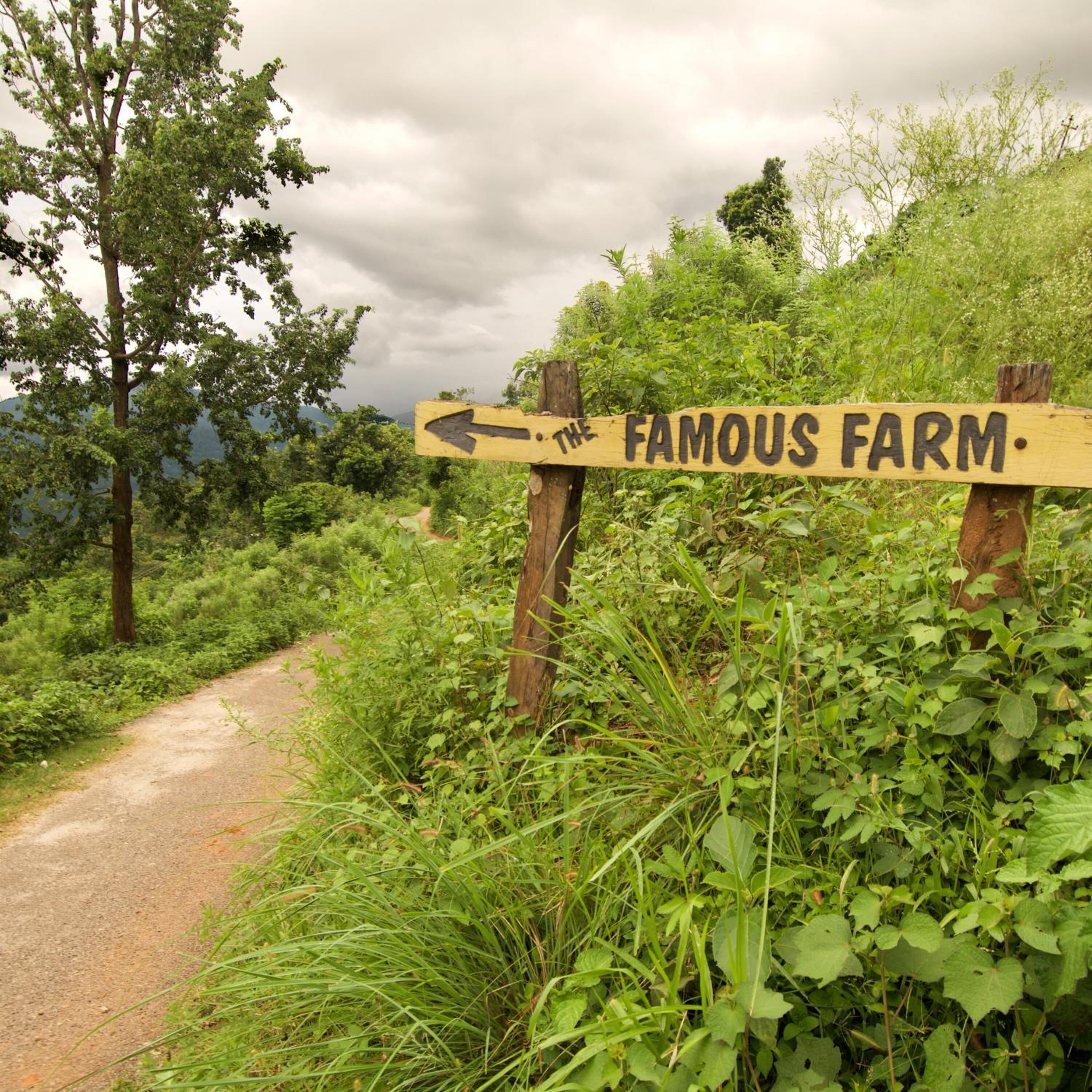 Um sinal de madeira com a inscrição 'The Famous Farm', indicando à esquerda.