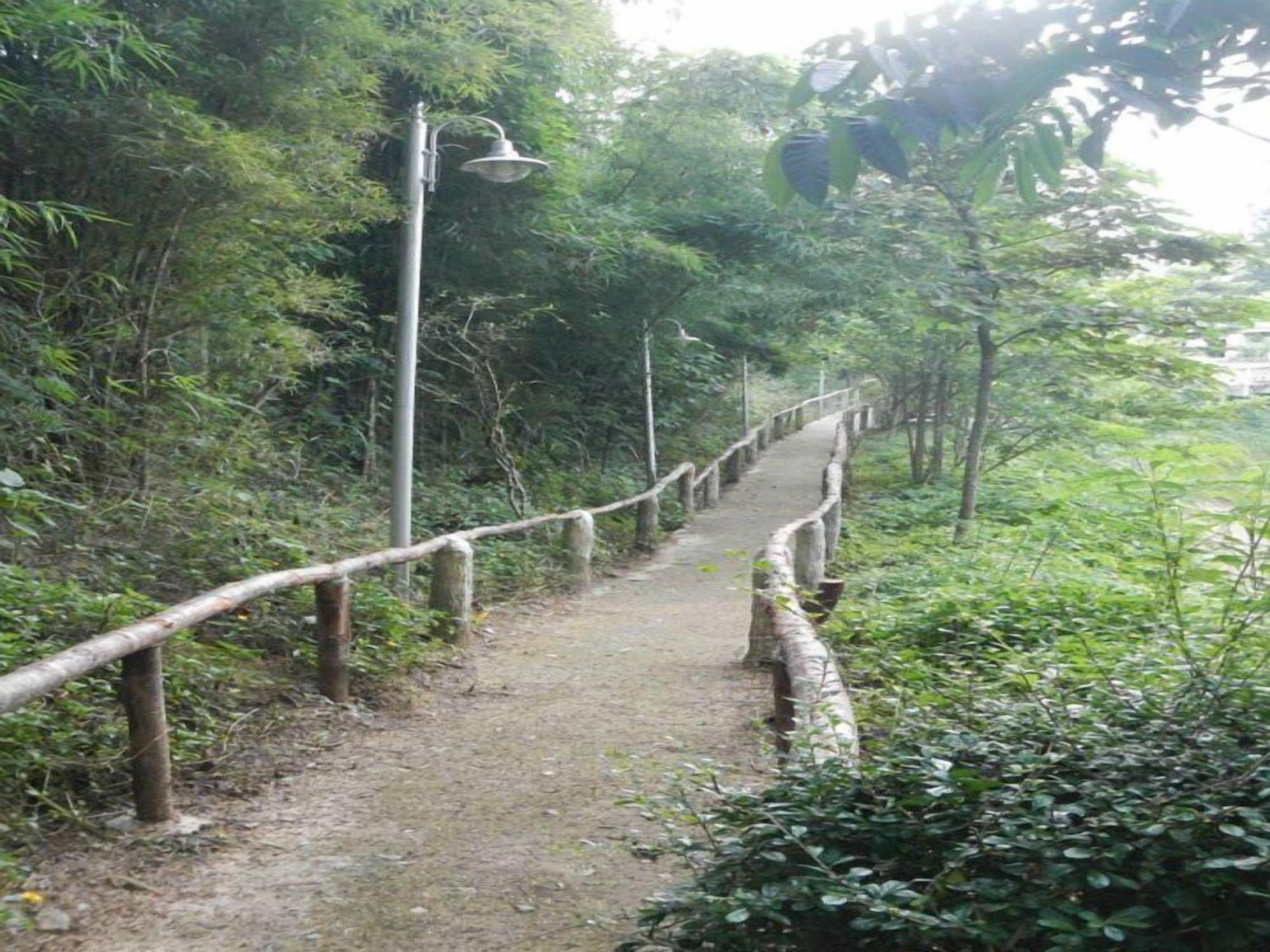Un estrecho sendero de tierra bordeado por barandas de madera y follaje de bambú.