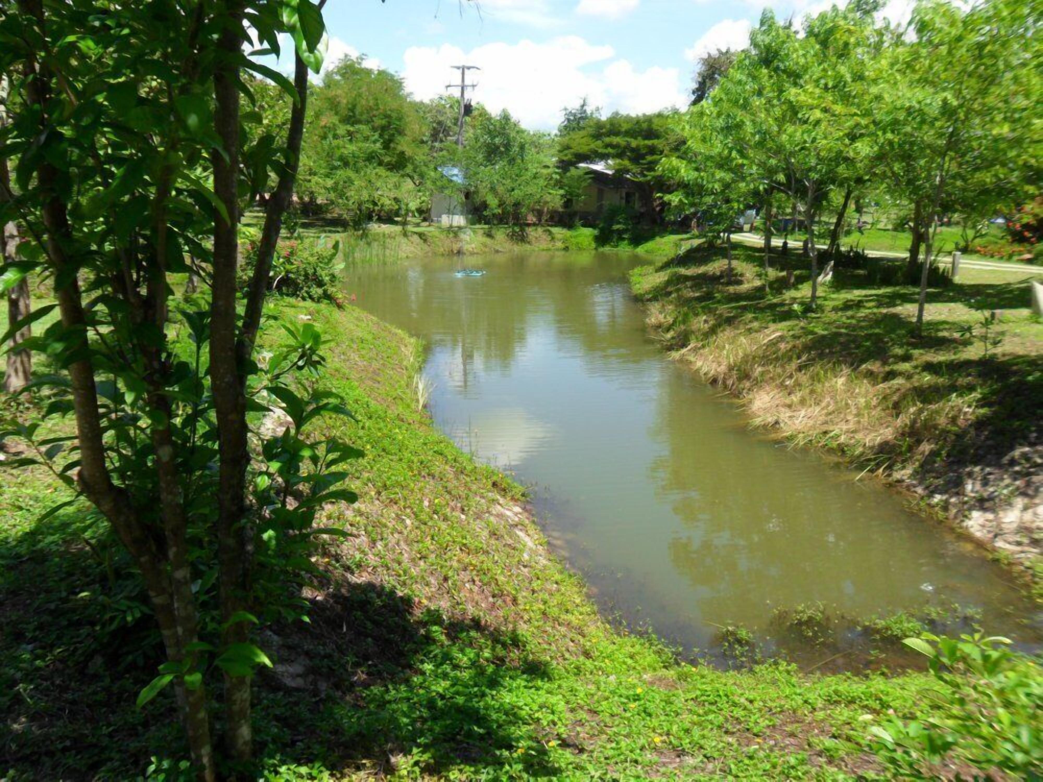 A calm river with surrounding greenery and a small building in the background.