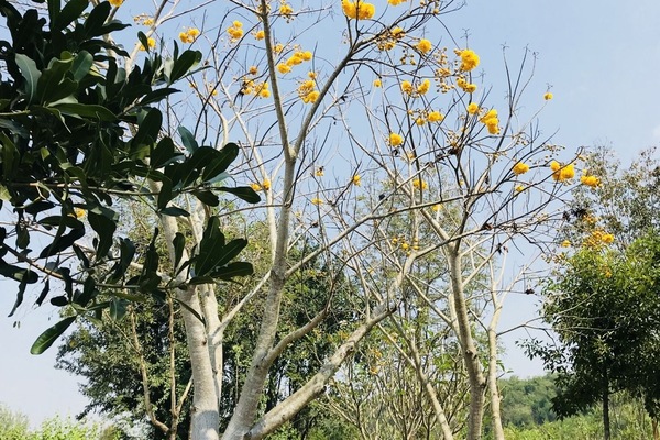 Standard Shene 14 | Land view from property
