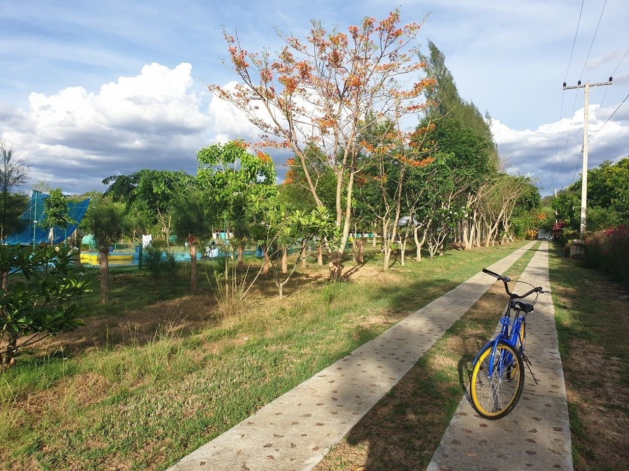 A concrete pathway with a bicycle parked on the side, surrounded by trees and greenery.