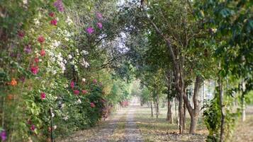 Un sendero bordeado por árboles y plantas en flor.