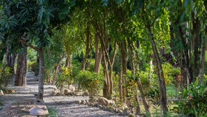 Un camino bordeado de árboles y un cartel que indica cambio y bloque de sauna con piscina.