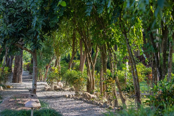 Jardín