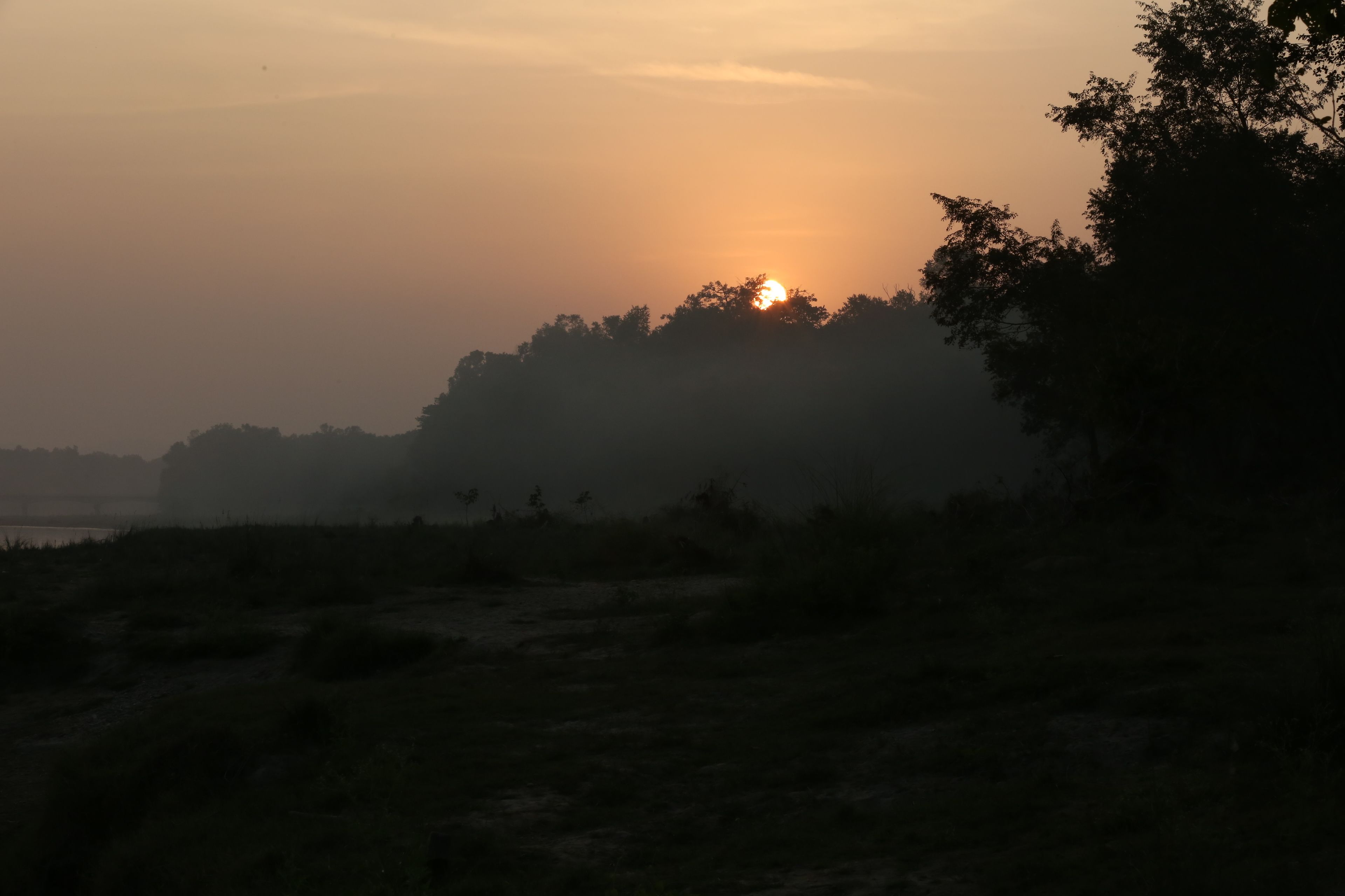 Pôr do sol sobre uma área arborizada com céu limpo.