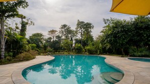 Una piscina de borde curvo, rodeada por un solárium de piedra y abundante vegetación.