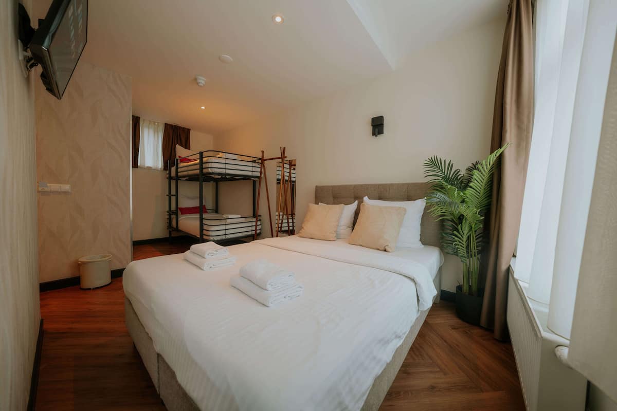 A hotel room with a large bed, bunk beds, a potted plant, and a window with curtains.