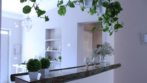 Een moderne keuken met witte kastjes, een houten aanrechtblad en hangende planten.