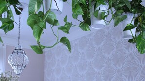 Een keuken met witte kasten, een koffieapparaat en hangplanten.