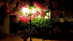 A room with a large potted plant in the center, a wall-mounted light fixture, and a door to the left. - Eon Dalyan Boutique Hotel (Ortaca)