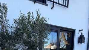 Un bâtiment doté d’une grande fenêtre et d’un arbre en pot placé devant.