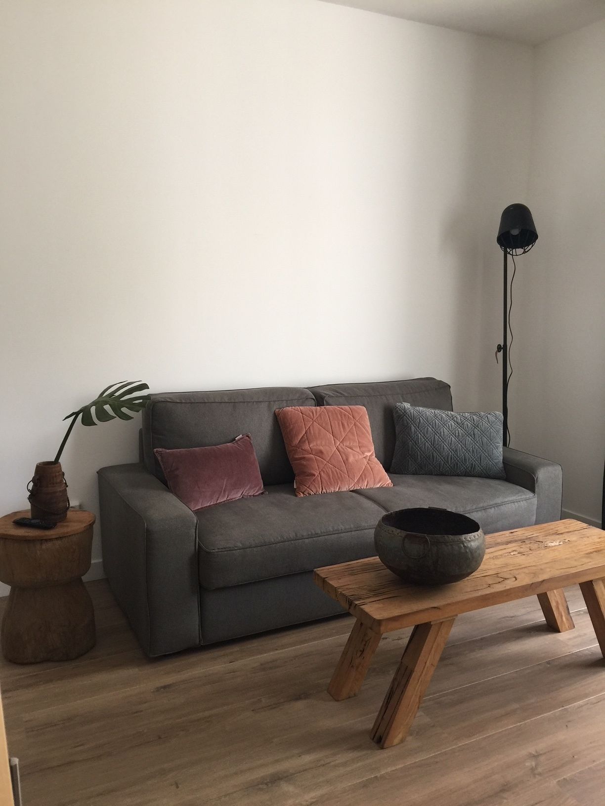 Un salon moderne avec un canapé gris, deux coussins, une table basse en bois, une lampe sur pied et une plante posée sur une table d’appoint.