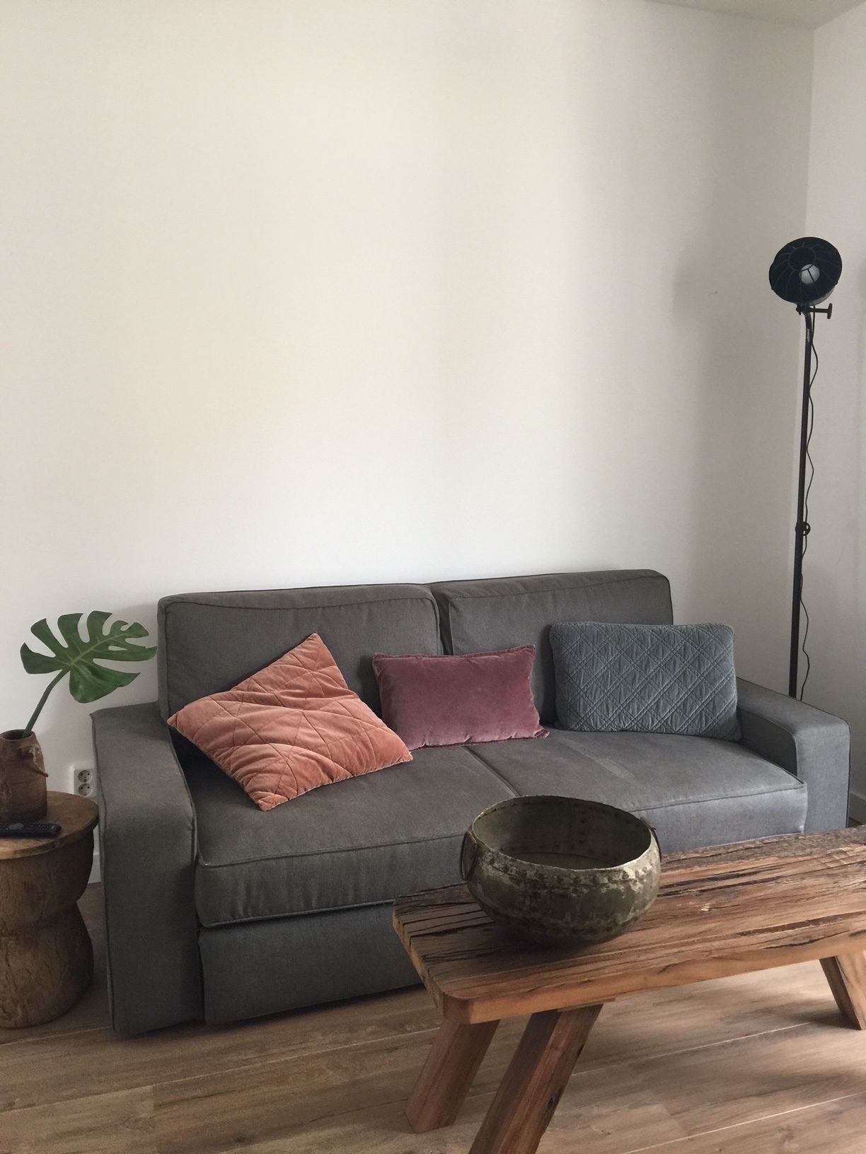 Un canapé gris avec trois coussins, une table d’appoint en bois avec un bol, une grande plante verte et un grand lampadaire.