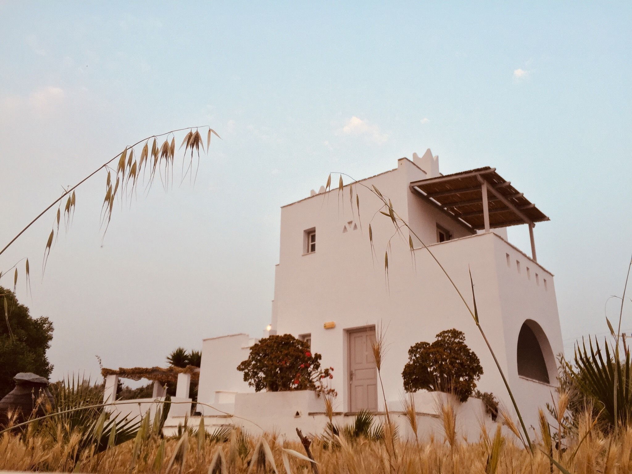 Standard Studio | Terrace/patio