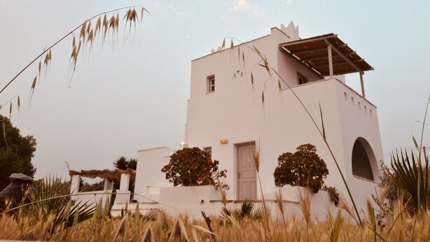 A white building with a flat roof, a small window, and a door. There are two bushes in front of the building. - Helios Beach Studios (Naxos)
