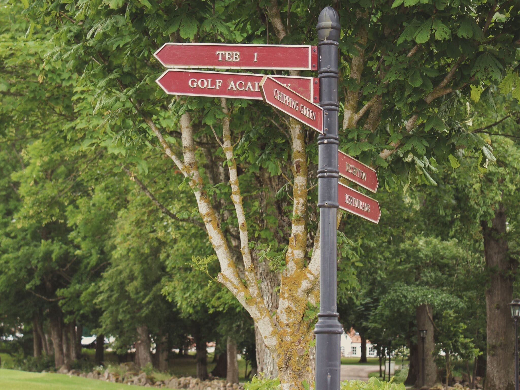 En vägvisare med flera pilar som pekar åt olika håll, mot bland annat utslagsplats 1, golfakademin, puttinggreenen, receptionen och restaurangen.