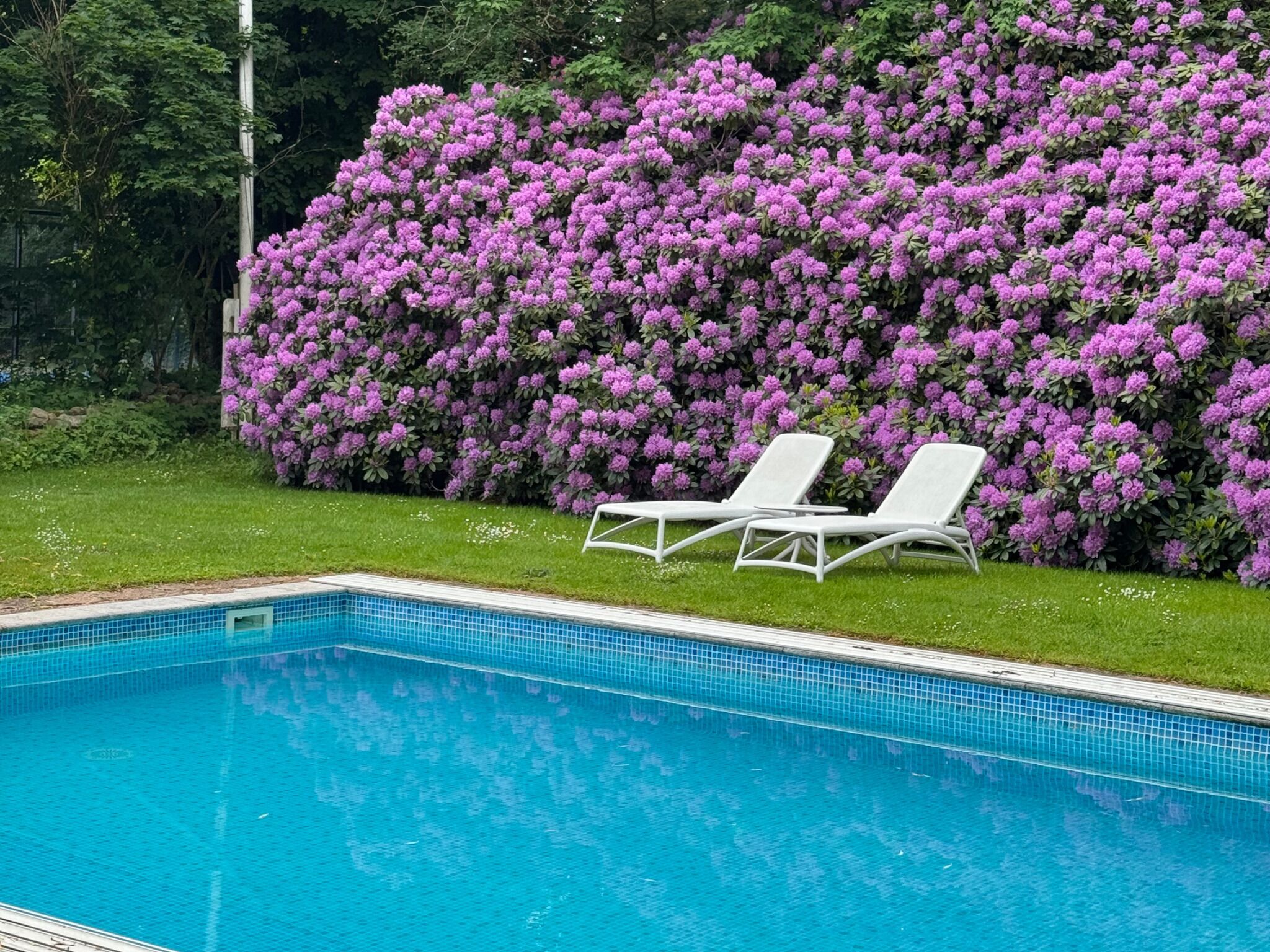 Una piscina al aire libre de temporada, tumbonas