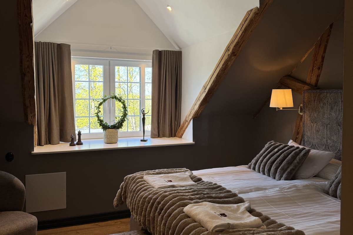 Deluxe Double Room | Minibar, blackout drapes, iron/ironing board (on request), WiFi (free)
