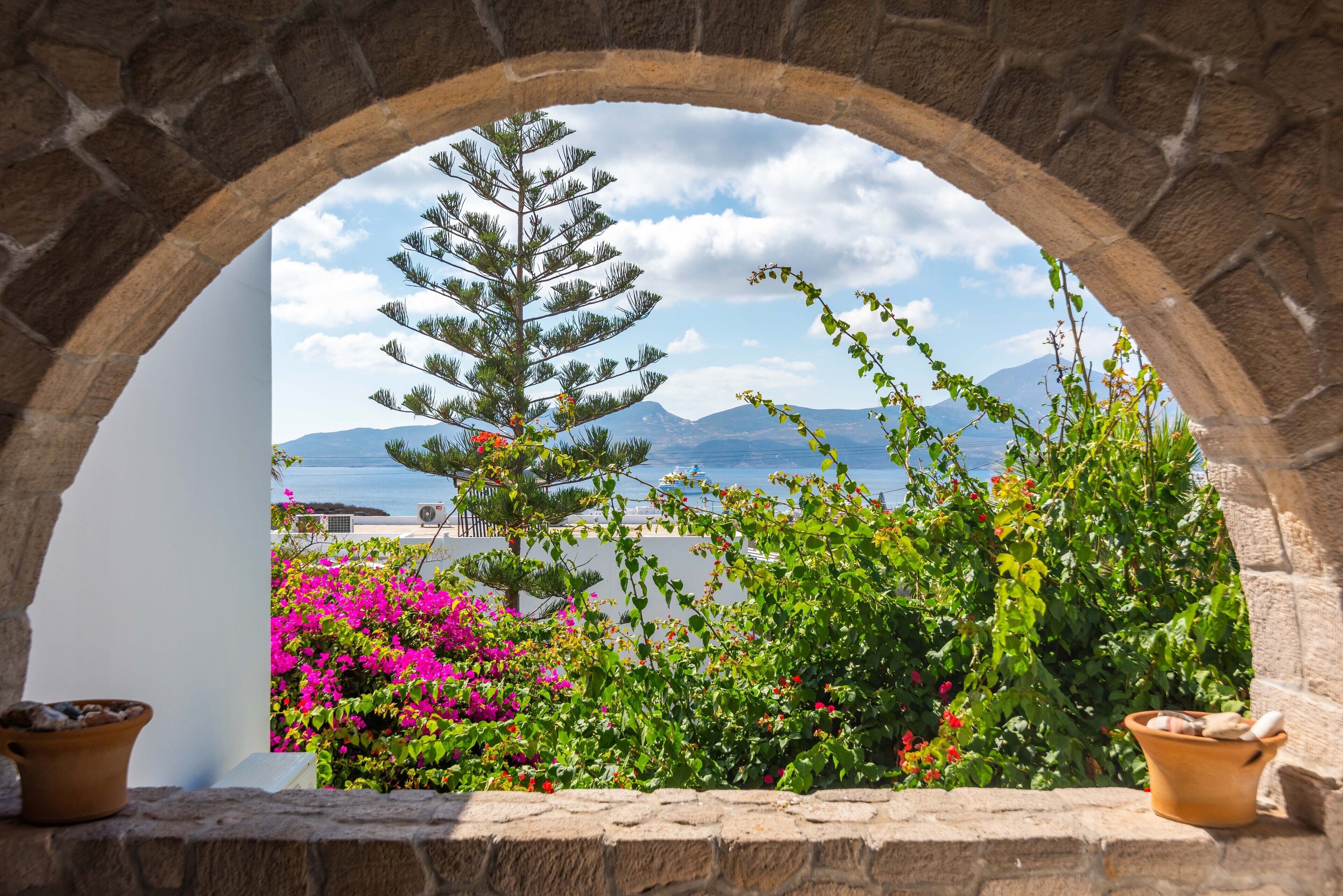 An arched stone window overlooking a garden with a pine tree and pink flowers.