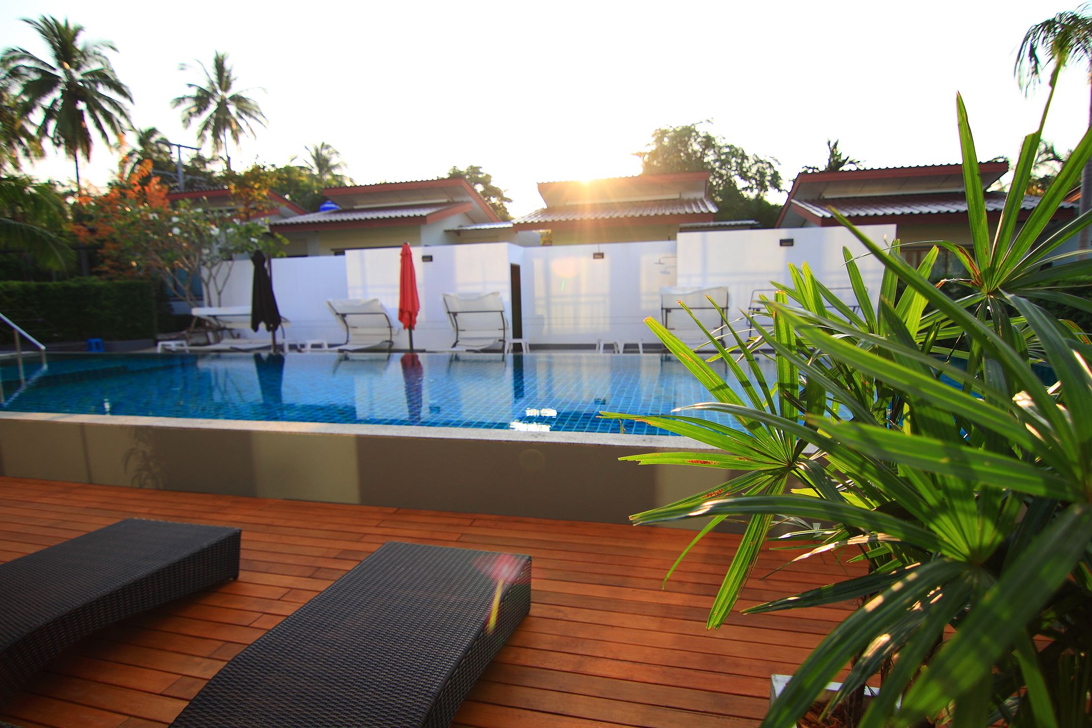 outdoor pool, pool loungers