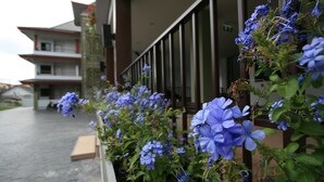 A building with a balcony and a row of blue flowers in front. - Sirimunta Hotel Chiang Rai (Chiang Rai)