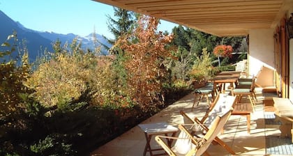 Gstaad - Luxury Flat in Rougemont