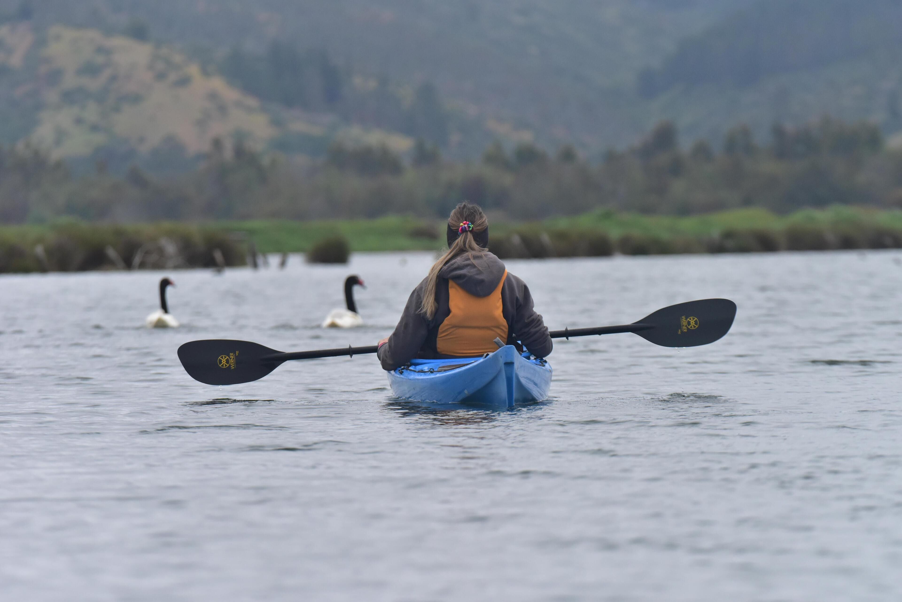 Une personne est assise dans un kayak bleu sur une étendue d’eau, avec des montagnes en arrière-plan.